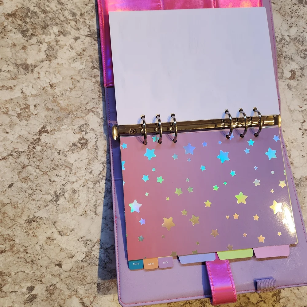 Target Iridescent Pink Planner